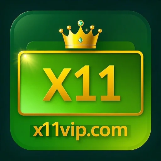 x11